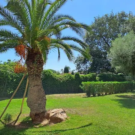 Golfe Juan T2 A 5 Min A Pied Des Plages De Sable * Vallauris