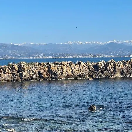 Golfe Juan T2 A 5 Min A Pied Des Plages De Sable Vallauris